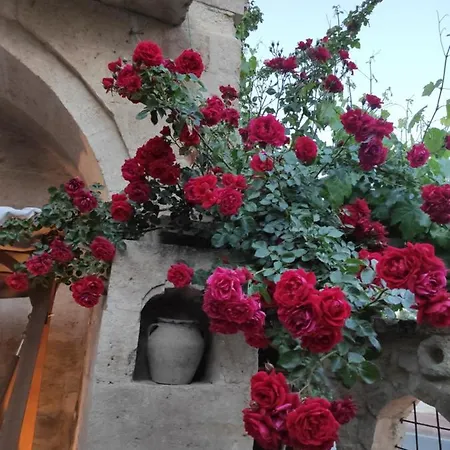 Kayhan Cave Ürgüp