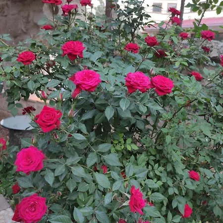 Casa vacanze Kayhan Cave Ürgüp