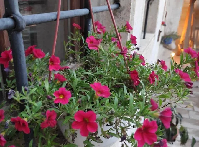 بيت للعطل Kayhan Cave *