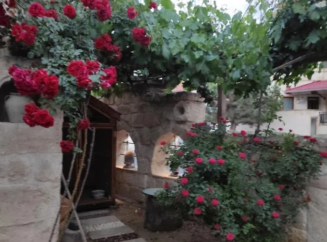 Kayhan Cave أوروغوبْ